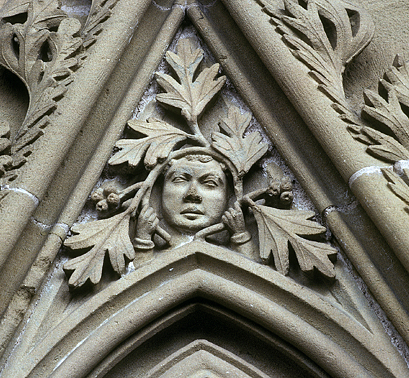 Peering through the leaves of Southwell.