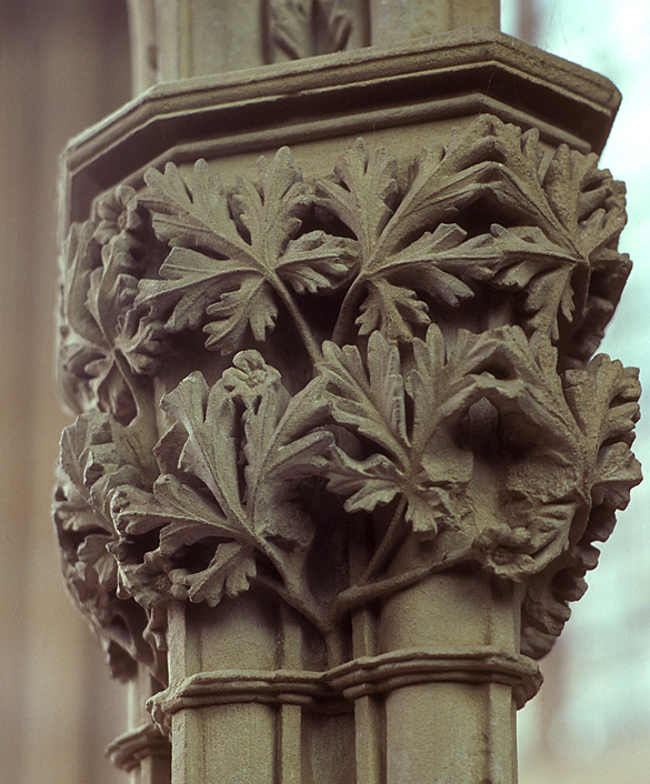 Buttercup, Southwell Minster.