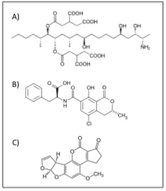 The chemical structures of some of the major mycotoxins. a) fumonisin B1, b) ochratoxin A, and c) aflatoxin B1