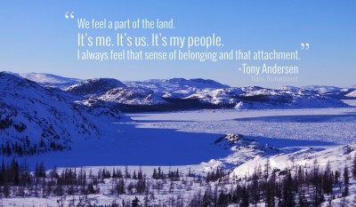 Tony Andersen Quote