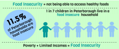Food Insecurity means not being able to access healthy foods. Eleven point five percent of Peterborough households are food insecure, and one in seven children live in food insecure households.