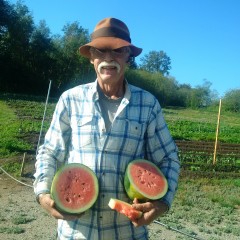 Glenn Flett of LINC, holds a ripe watermelon cut in half at Emma's Acres. 