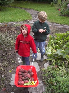 Children help with SLOE's autumn harvest. ©SLOE