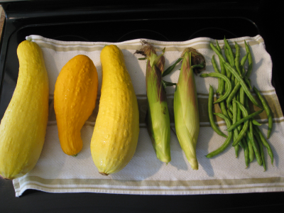 Harvest from a Three Sisters crop (squash, corn, and beans) laid out on a white tea towel.