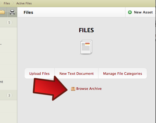 To browse your archive, click the Files tab at the top of the page. Select the link "Browse Archive" to access a list of archived files.