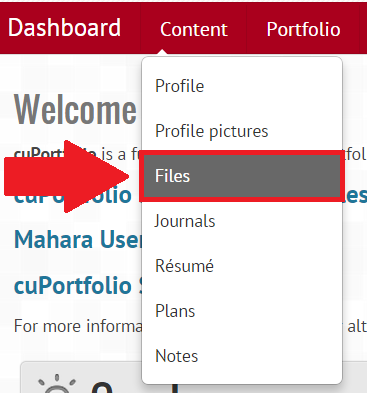 Screenshot of dashboard page, file tab highlighted