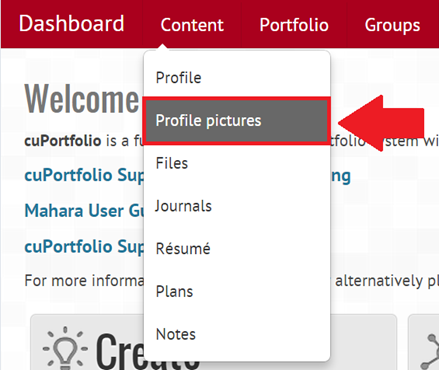 Screenshot of dashboard, profile picture highlighted