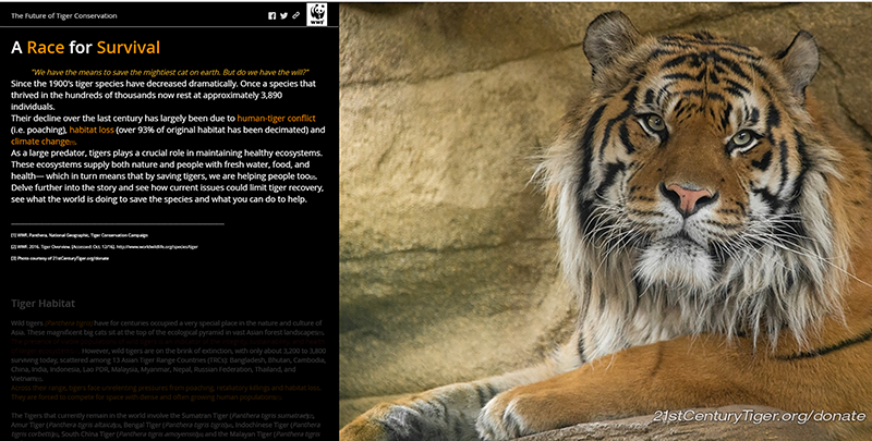 danielle-derrick800x405