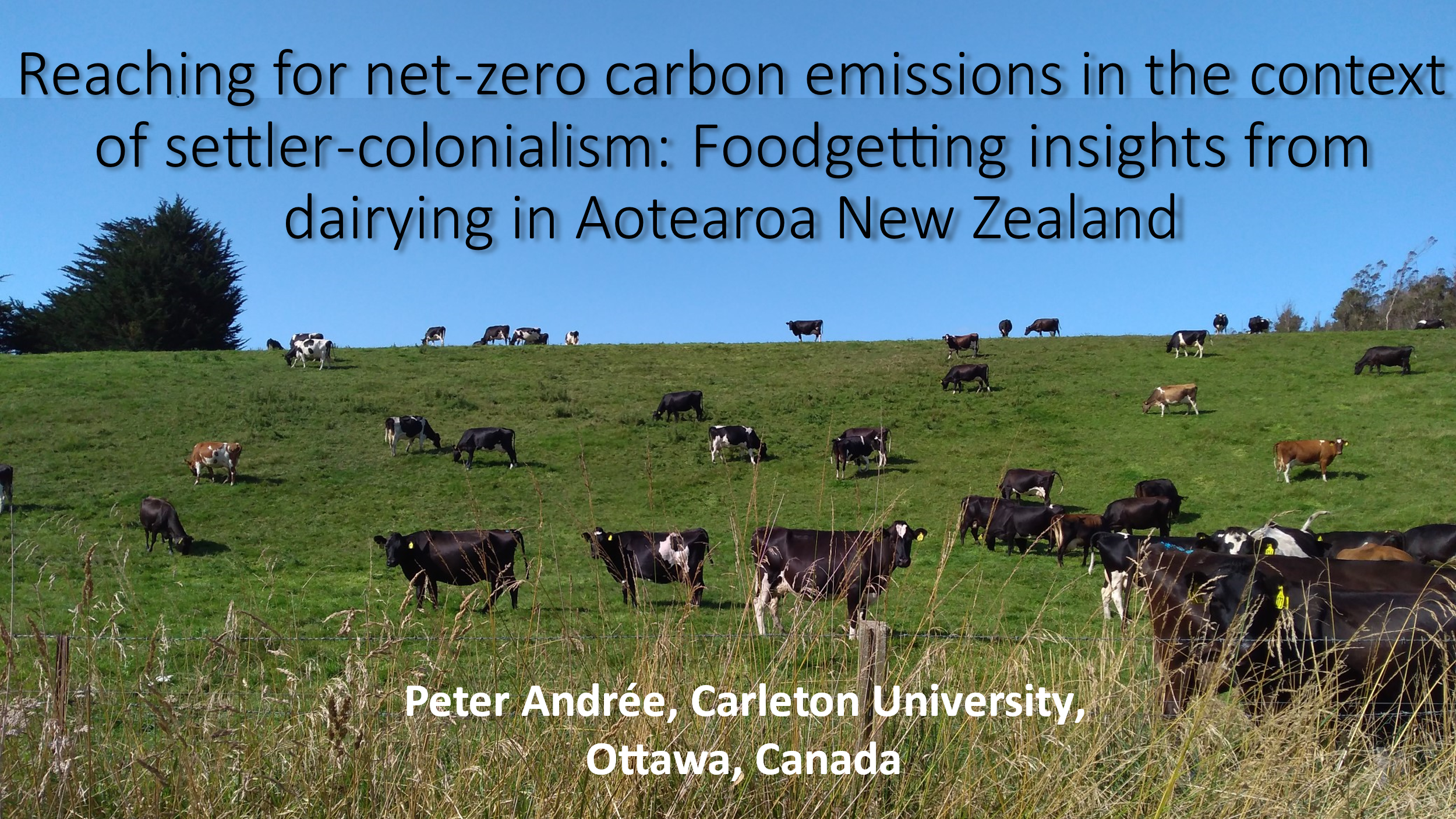Reaching for net-zero carbon emissions in the context of settler-colonialism: Foodgetting insights from dairying in Aotearoa New Zealand