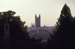 A distant Gothic Cathedral is framed by trees.