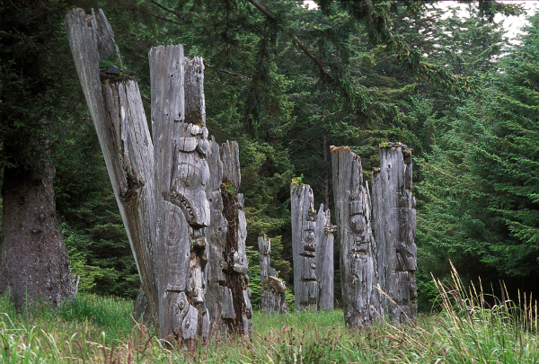 Totem poles in various states of decay.