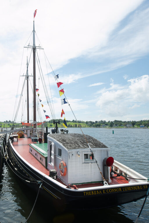 A schooner with the name “Theresa E Connor” sits in a harbour.