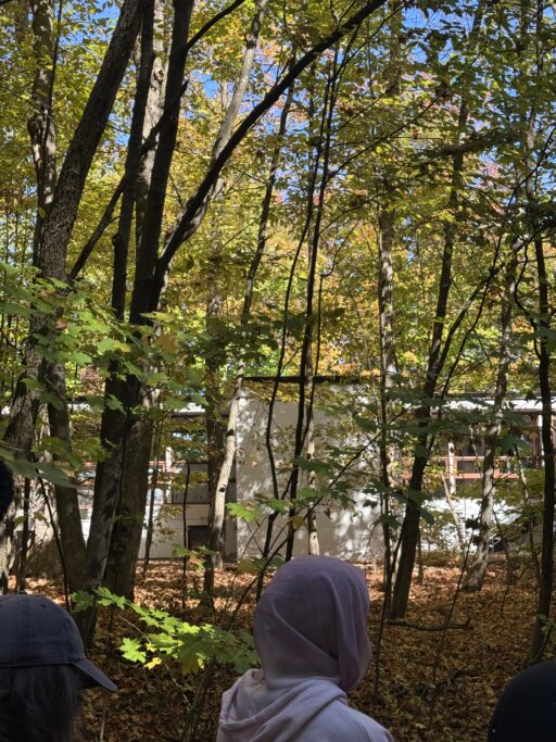 A group of students observe a modern house through a drove of trees.