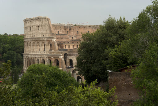 Distant view through trees of the ruined Roman Colosseum.