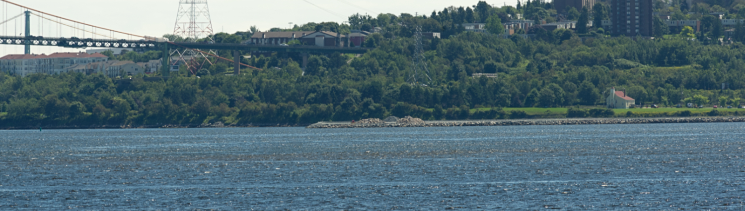 A strip of green land shown from a distance across water.