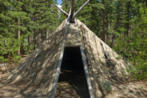 Pyramidal wooden structure in forest.