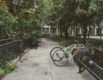 Carleton pathway with leafy trees and bikes