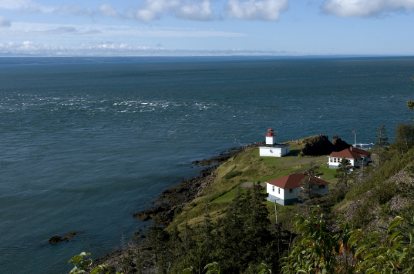 Small wooden lighthouse buildings on rocky shore by the sea.