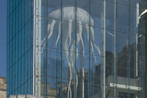 Model of octopus behind glass.