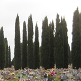 Cimitero San Michele