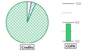 Image of completion pie chart from myAudit.
