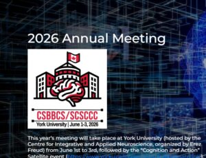 A thumbnail image to accompany the post