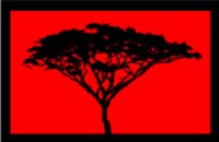 Canada-Mathare Education Trust Kids for Kenya