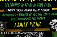 Reggae in the Fields