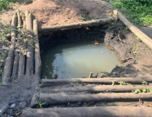 A thumbnail image to accompany the post