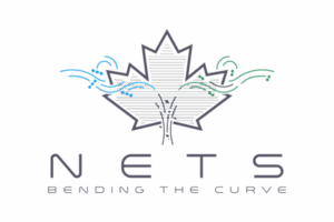 Leaf removing CO2 from air and storing captured CO2 underground