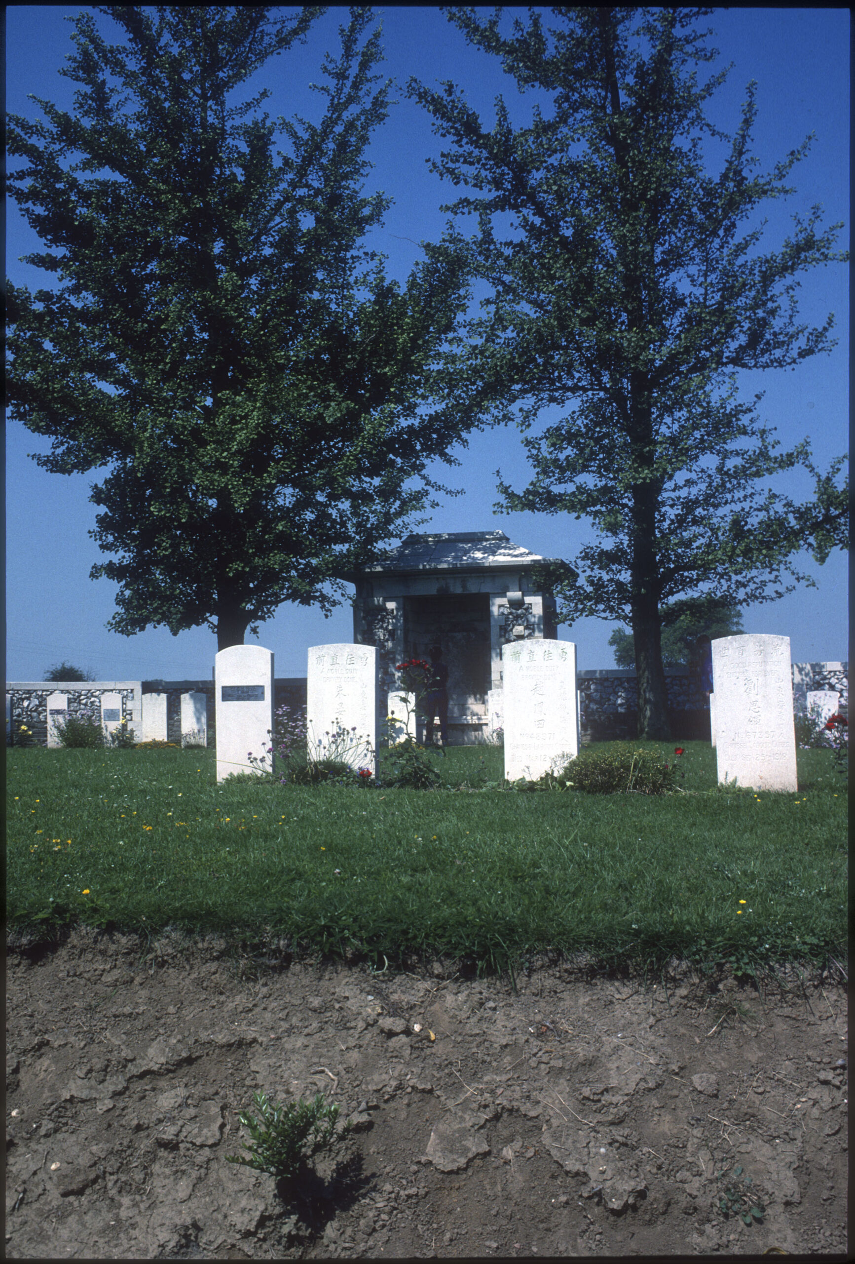 Graveyard in France in the afternoon.