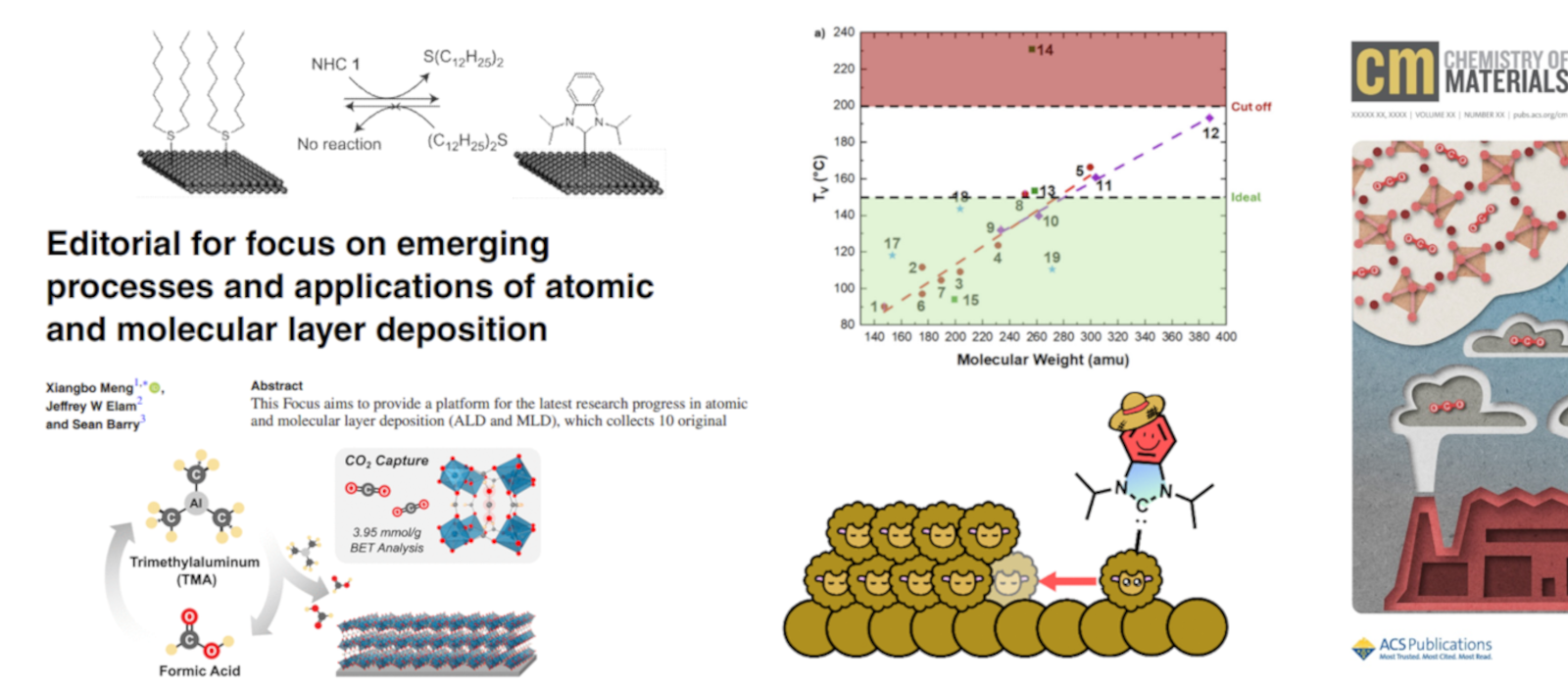 Banner image for The Barry Lab