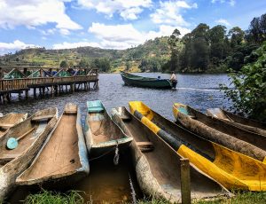 Row of wooden canoes on river in Uganda