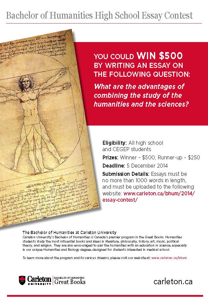 Arts and humanities essay ideas image