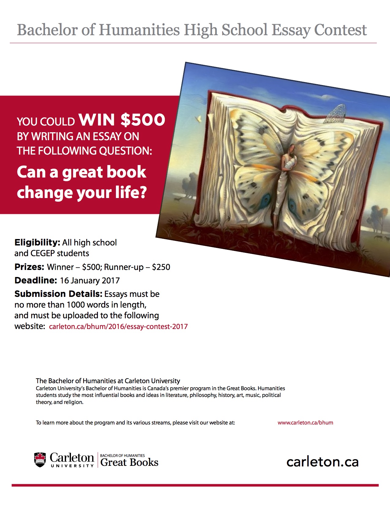 Humanities essay sample picture