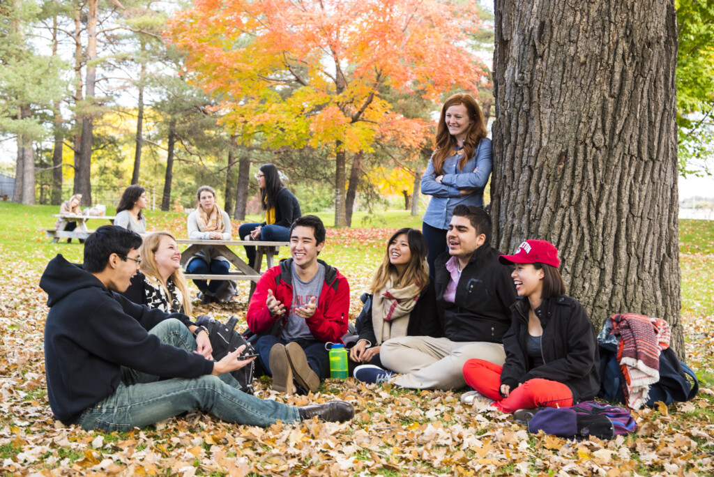 Students sitting near tree.