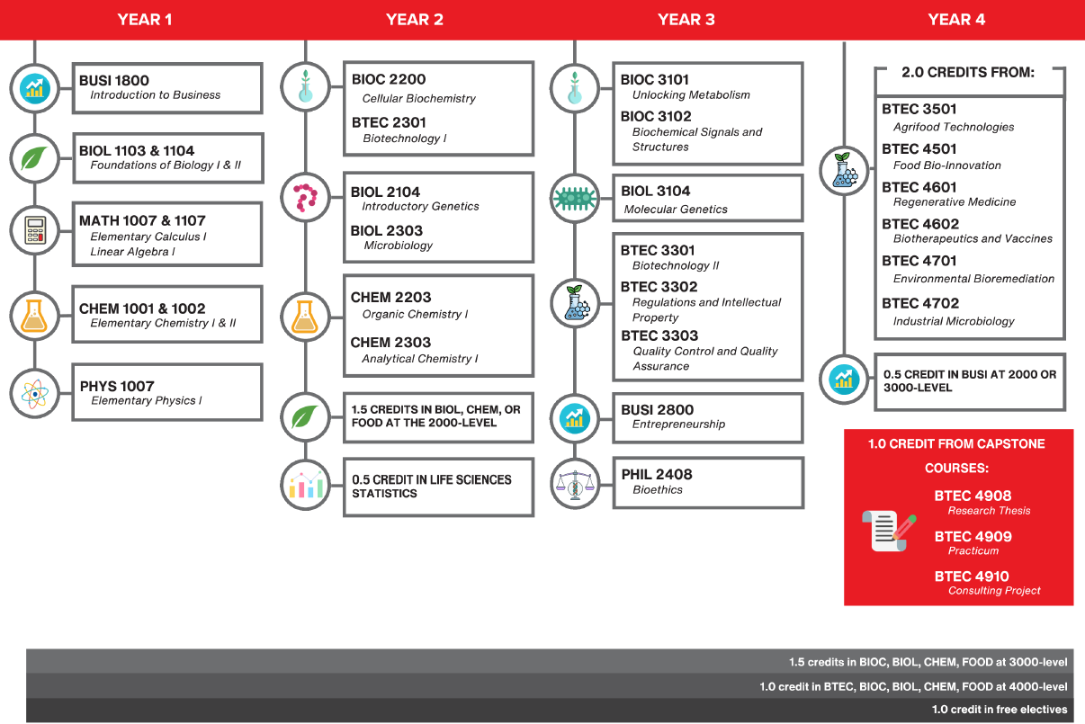 Lists course codes and titles for each year of degree program.