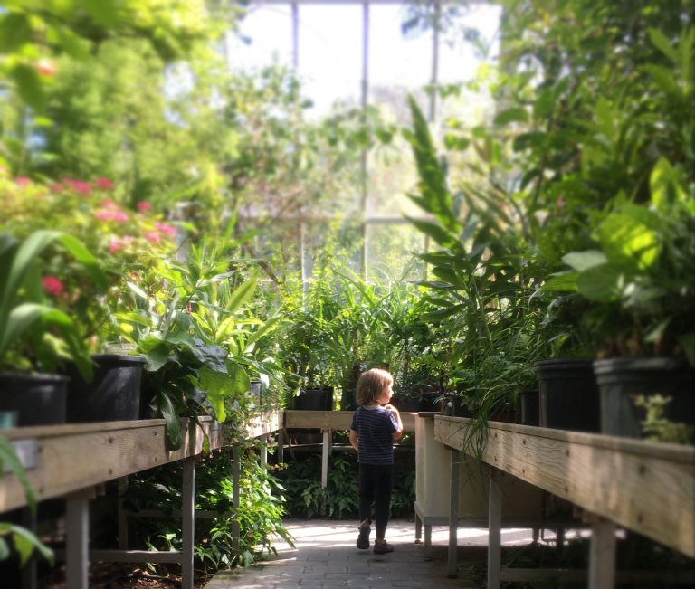 Greenhouses Department of Biology