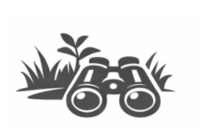 Field courses - binoculars