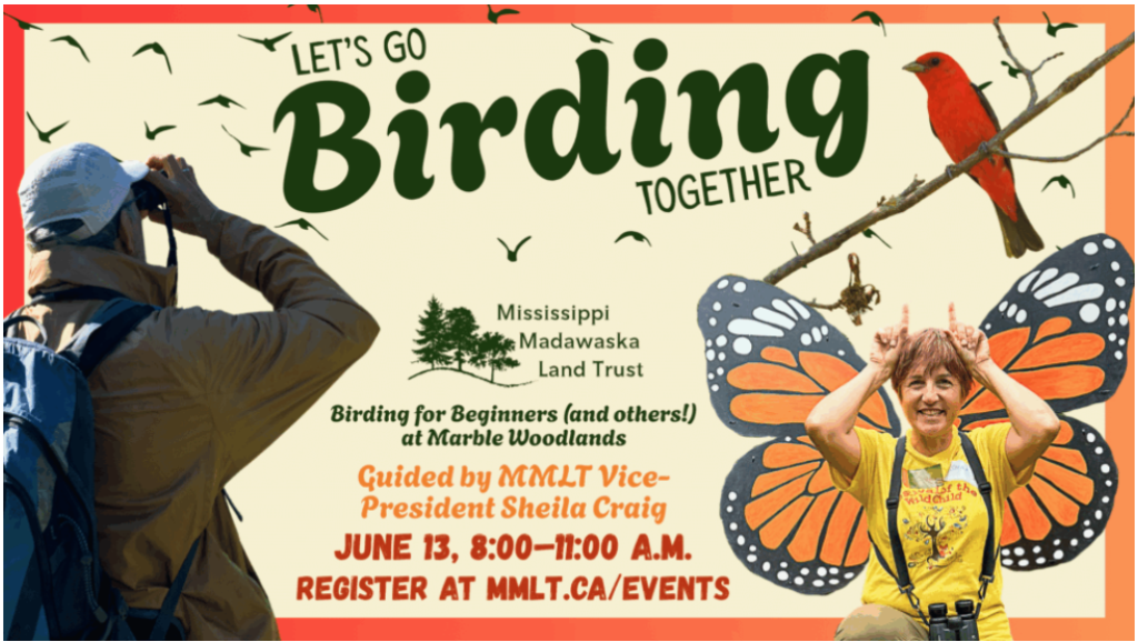 flyer for event with nature details, graphics and people bird watching
