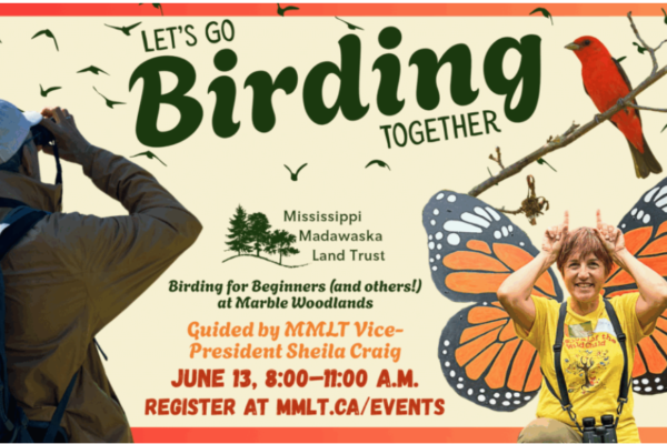 flyer for event with nature details, graphics and people bird watching