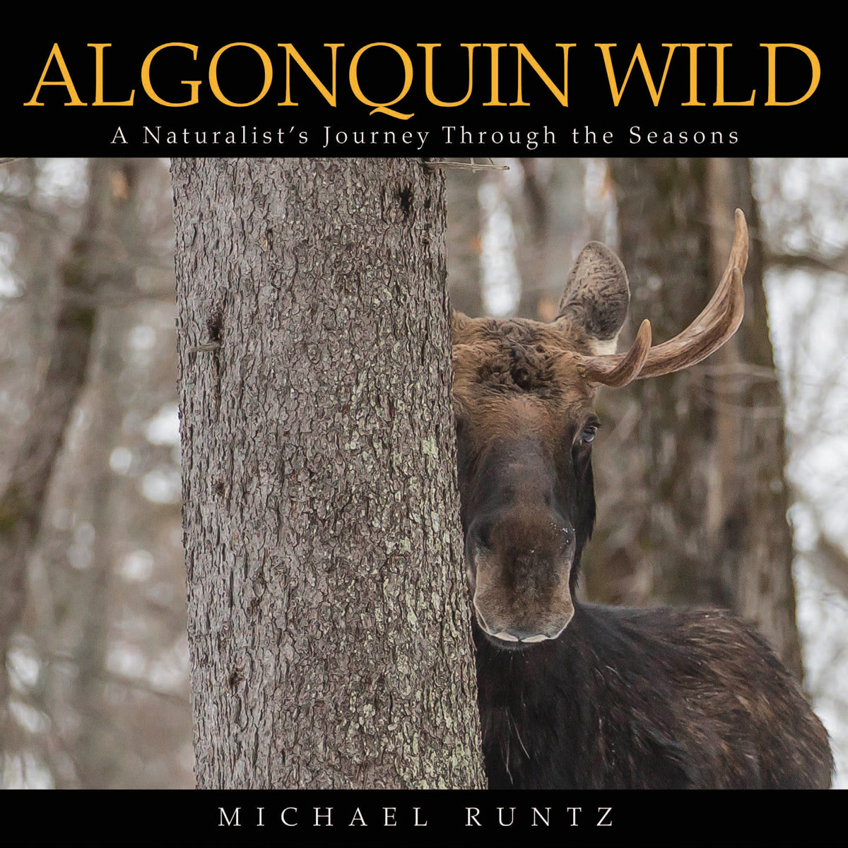 Biology's Mike Runtz publishes his 12th book: Algonquin Wild ...