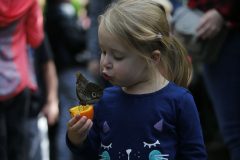 Girl feeding a butterfly from her hand.