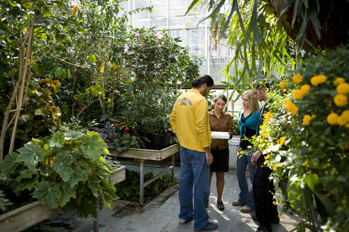 picture of people in the greenhouse