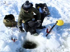 Science of winter: The day aliens stole all the fish in a lake