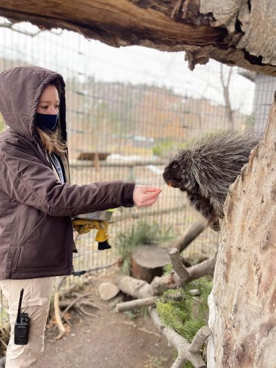picture of Amy feeding Quilla