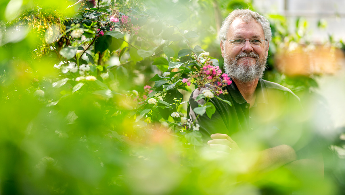 Greenhouses Department of Biology