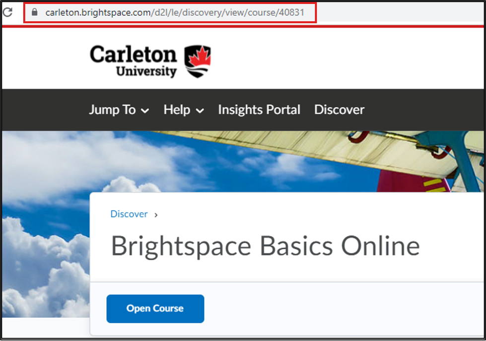 Screenshot of Brightspace course page with red callout around the page's URL.
