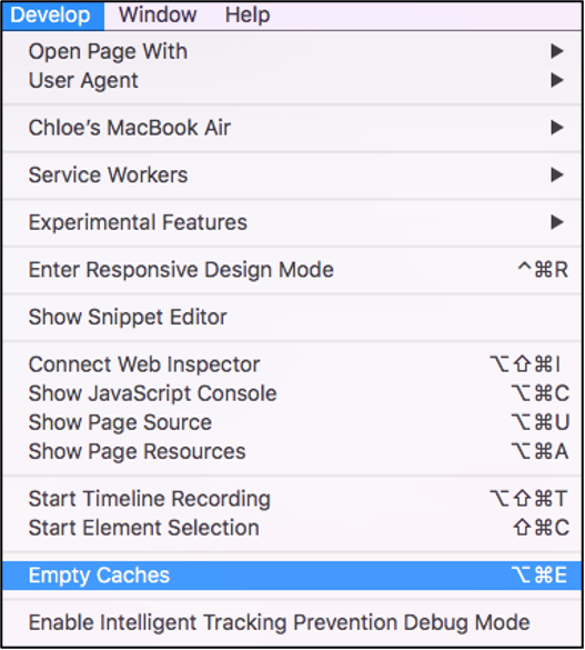 Screenshot of Develop drop-down menu with Empty Caches option selected.
