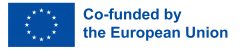 Color EU Flag Logo with acknowledgment statement co-funded by the EU